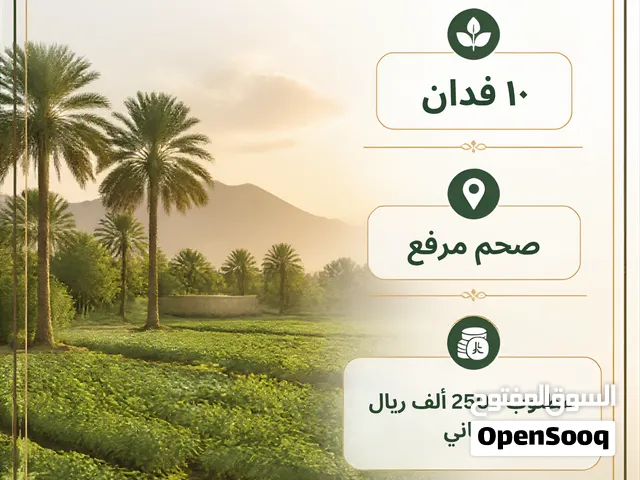 Farm House For Sale 10 acres للبيع مزرعه 10 فدان