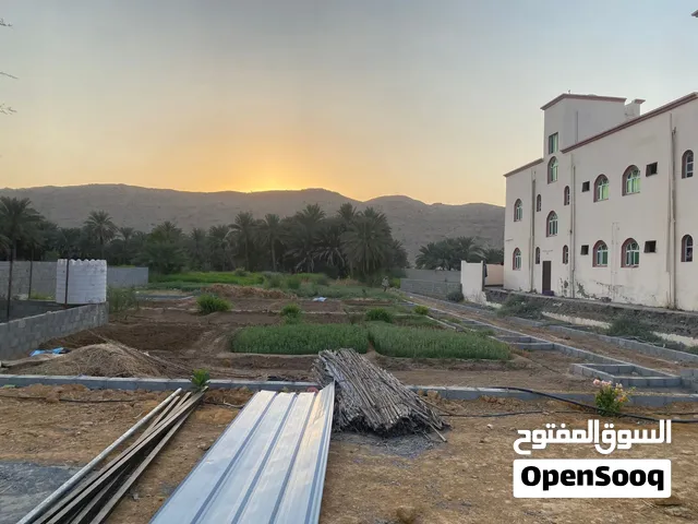 للايجار زراعيه مساحة 1500فيها فيها 14جلية قت تقريبا