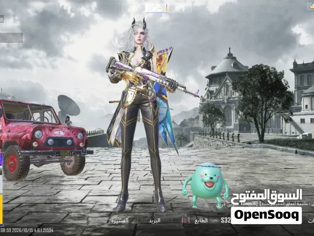 اكونت ببجي عالميه