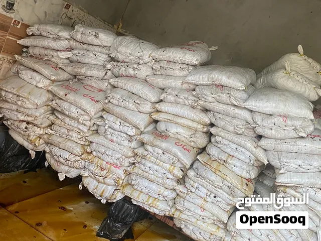 تمر جديد ومرتب