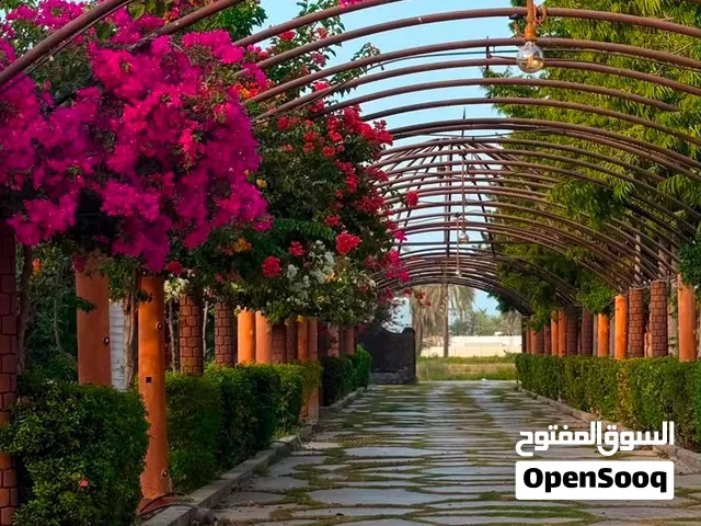 استراحة أمـالا صحار الطريف