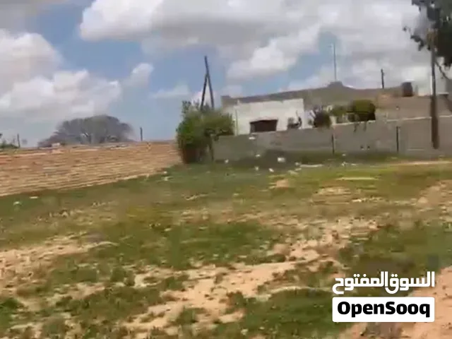 ارض سكنية للبيع