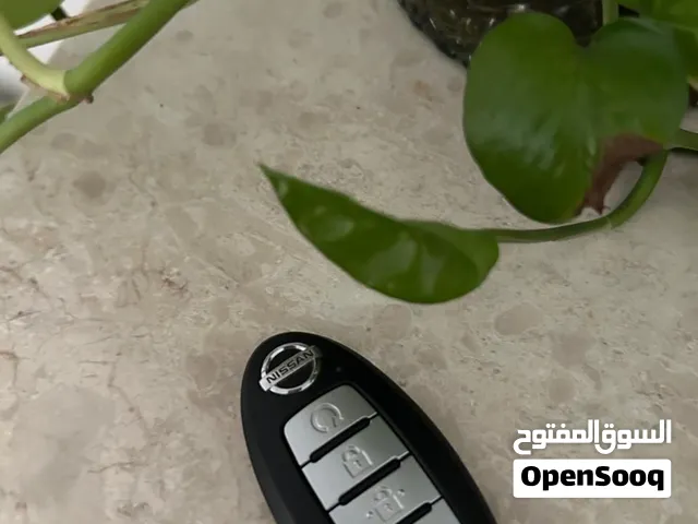 مكسيما بلاتينيوم 2020