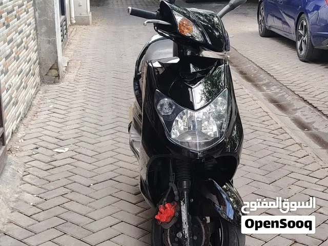 سكنس فحل كوري