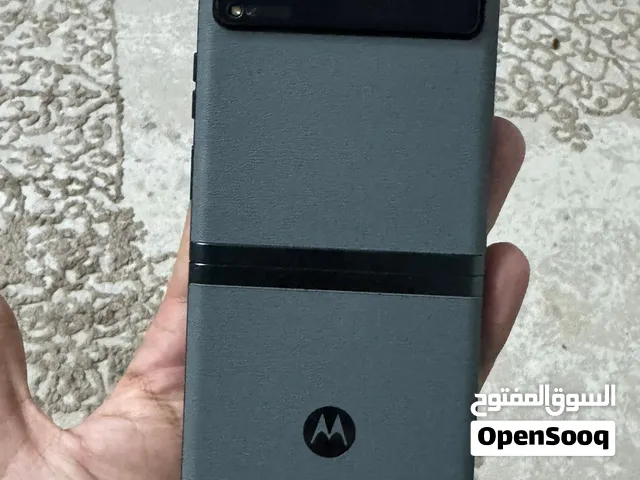 Motorola   Razr 2023