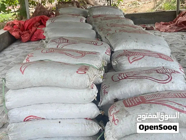 جواني سح نفيعه