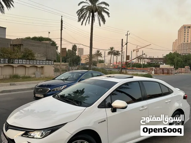 كورلا وارد صيني شكل الخليجي موديل 23  فول بيها طخة بالباب ما مصلحة  كلسي موضح بالصورة