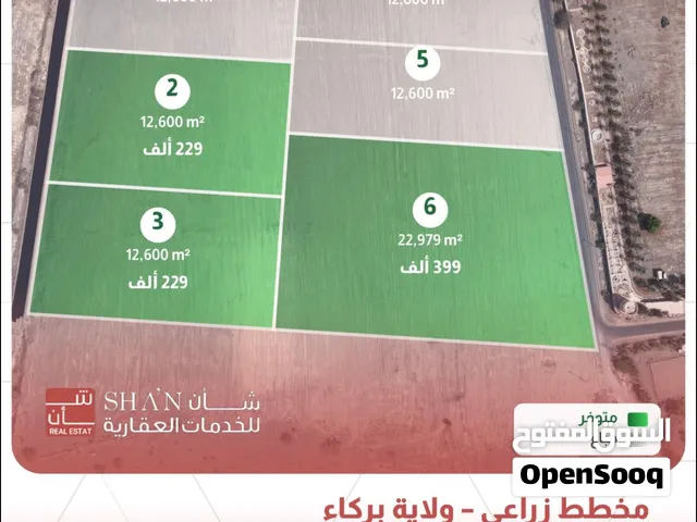 مباشرة من المالك للبيع اراضي زراعية في بركاء الرميس جنوب مسااحات واسعة و موقع مثالي