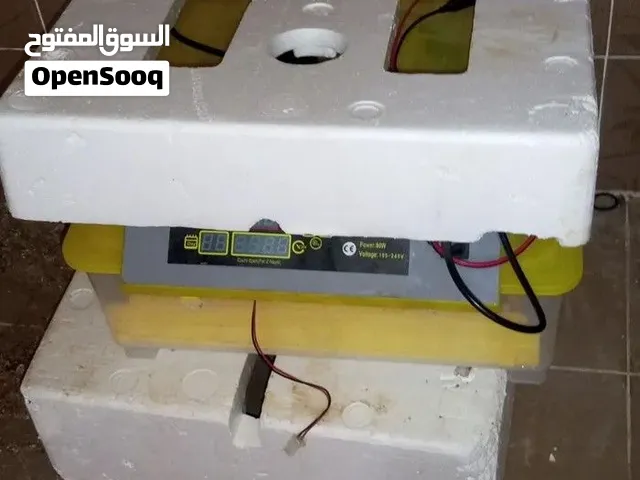 فقاسه 56 نضيفه