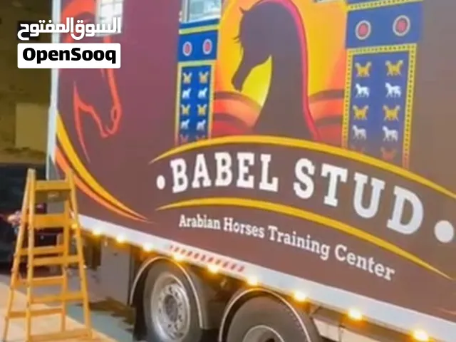 ورق الجدران مطبوع و ستيكرات بأقل سعر وافضل جودة