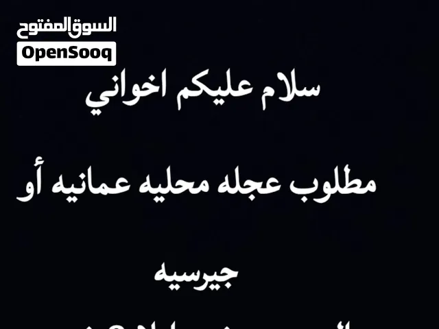 مطلوب عجله محليه عمانيه أو جيرسيه (اقرأ الوصف