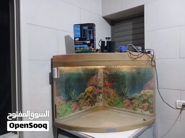 حوض سمك بانوراما زاوية (طول 80 سم) بحالة ممتازة للبيع – تصميم راقي مميز!