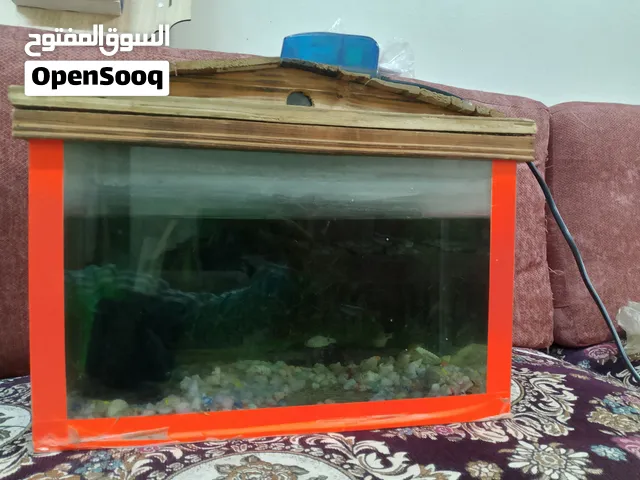 حوض سمك مستعمل