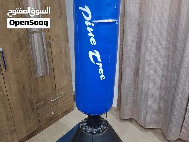 Standing Punching Bag