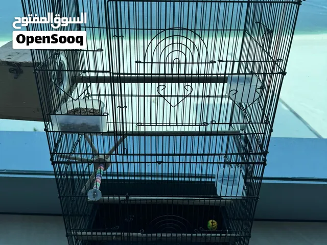 للبيع قفص بسعر100