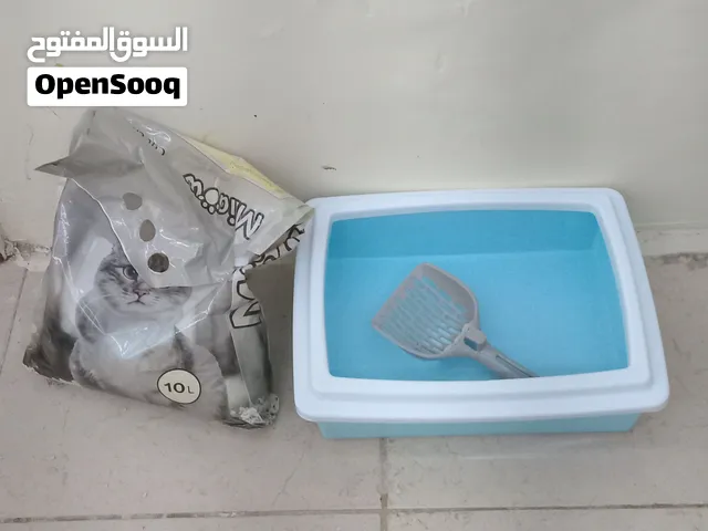 استضافة قطط