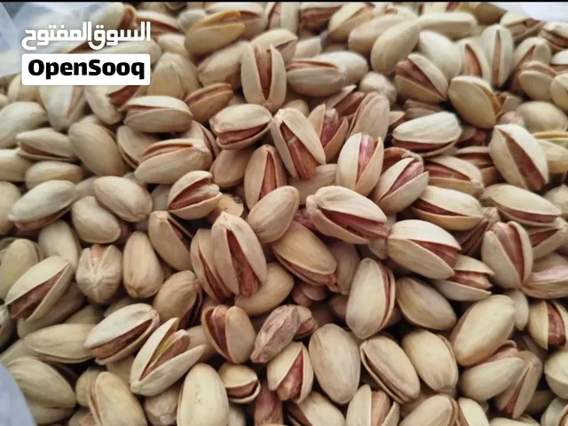 فستق أكبري إيراني فاخر  حبة كبيرة وجودة مميزة  توريد بالجملة