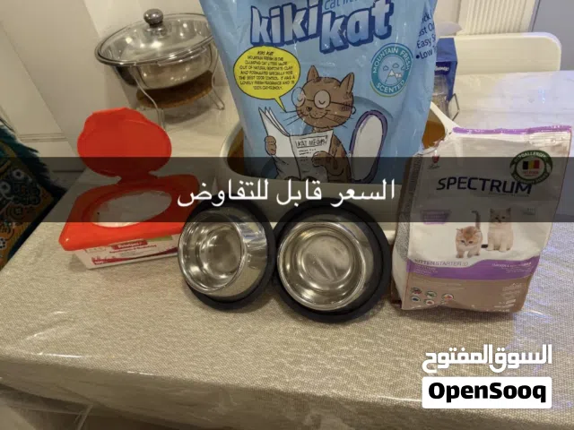 أغراض قطوة مع الأكل والتراب واللتر بكس وكلينكس معقم مخصص للقطط والأكل مستخدم استخدام خفيف جدا جدا