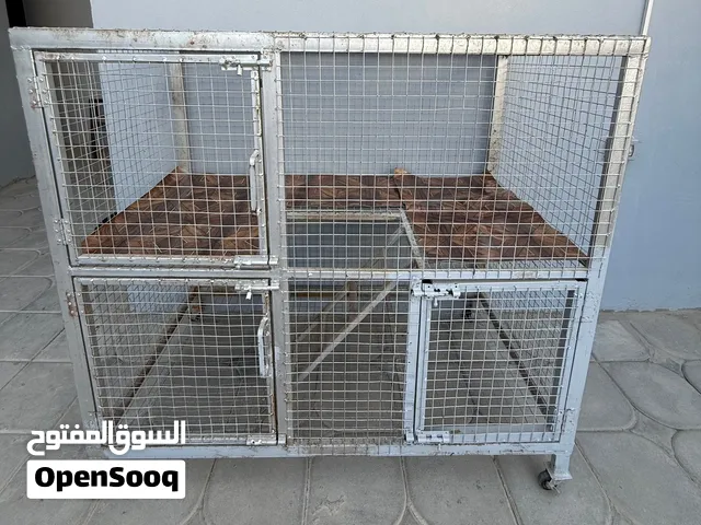 قفص كبير للبيع مع بيت قطط وشماخة وقفص صغير للتنقل وعلبة ماء وعلبة درايفود