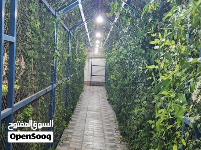 استراحة المها