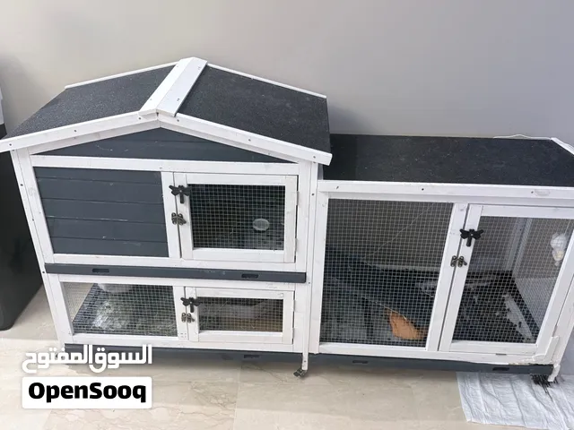 ارنوب 5 اشهر