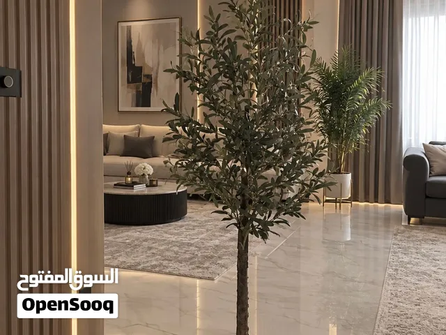 شجره زيتون