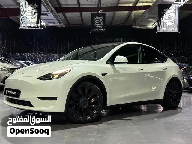 2023 Tesla Model Y Performance  Low Mileage GCC