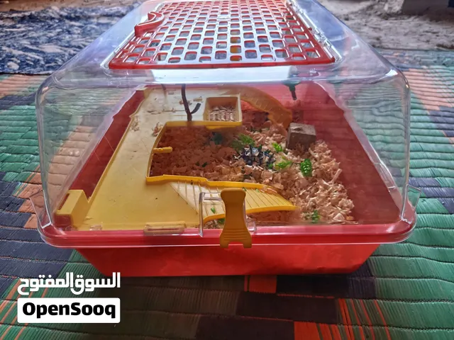 بيت هامستر الروسي