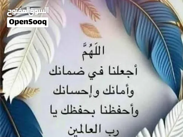 بيع شركات جاهزه