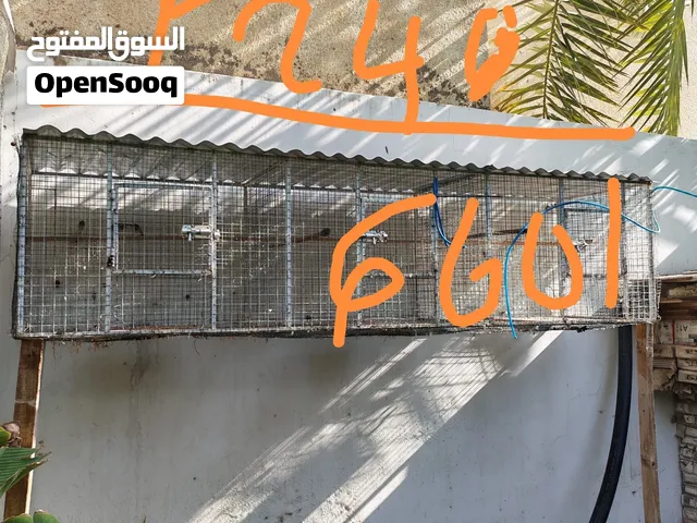 للبيع محاكر للطيور