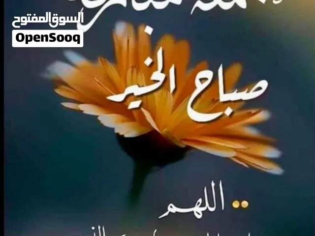 عندي شغل خاصه بالصيد الي يريدها يجي خاص يربح
