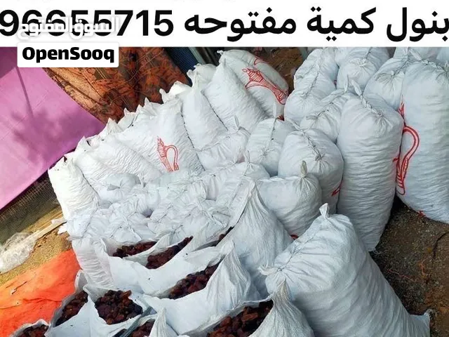 جواني سح نفيعه انتاج السنة