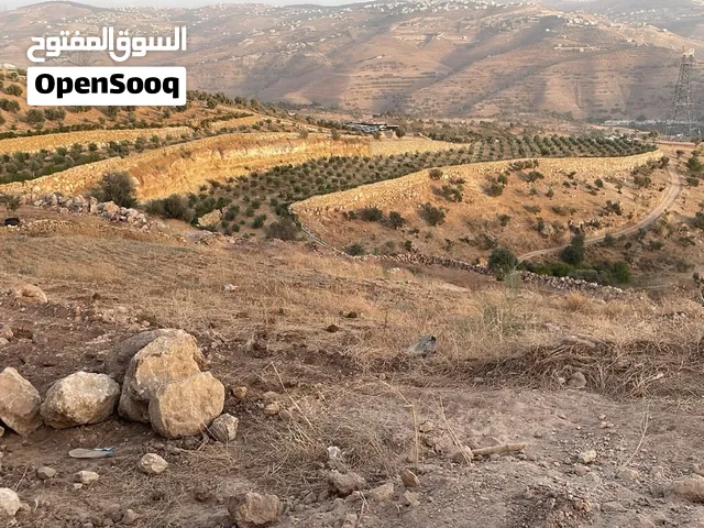 Farm Land for Sale in Jerash Borma