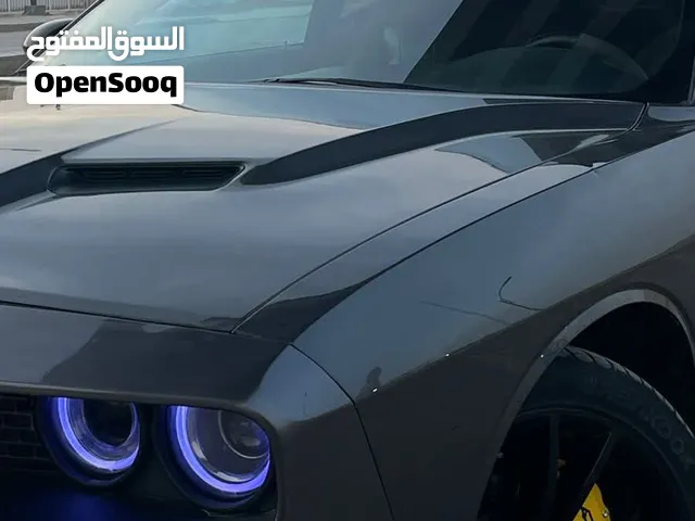 جالنجر 19 فول بيع او مراوس حسب القناعه