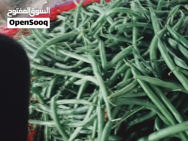 شركه محمد الصاوي لتصدير والتوريدات