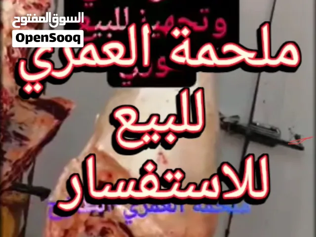 ملحمة العمري