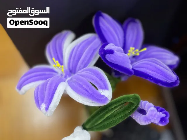 مزهرية للبيع جديدة