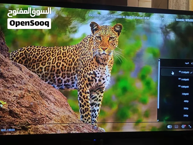 شاشه الريان 4K مستخدمه