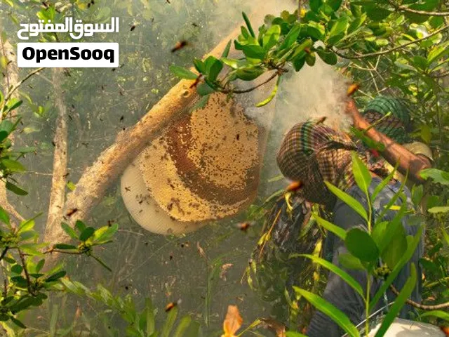 Premium Pure Natural Honey عسل طبيعي نقي فاخر