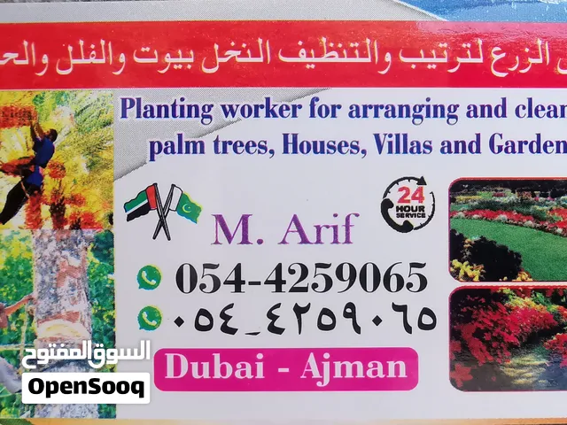 الزرع لترتیب والتظیف النخل بیوت والفلل والحدائق عجمان الامارات