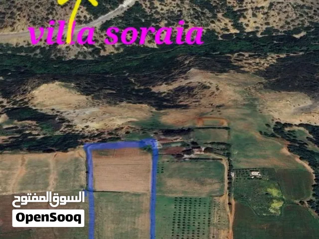 أرض محفظة للبيع