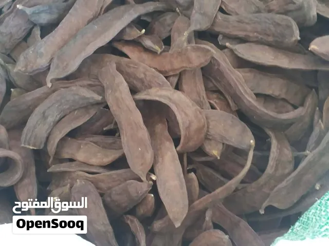 خروب  للبيع