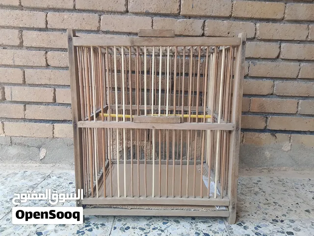 قفص بلبل للبيع بسعر 5000