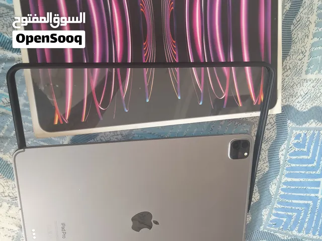 iPad Pro 12.9 (6th Gen, M2) 256 Wi-Fi + Cellular Excellent Condition, no scratches (model A2437)