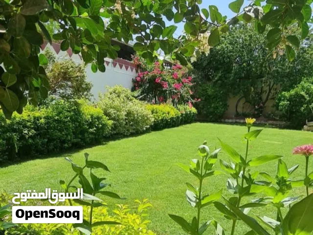 قطعة ارض للبيع