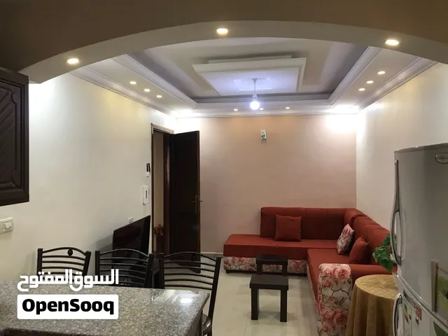 شقة مفروشة للإيجار - للطالبات الجامعيين و الطلاب - ريماس 22
