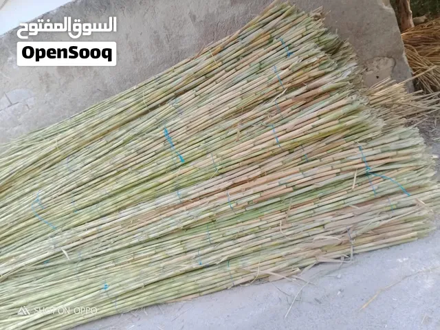 قصيب لسند الشتال ودعم الأشجار والمعرشات ارتفاع ثلاث متر