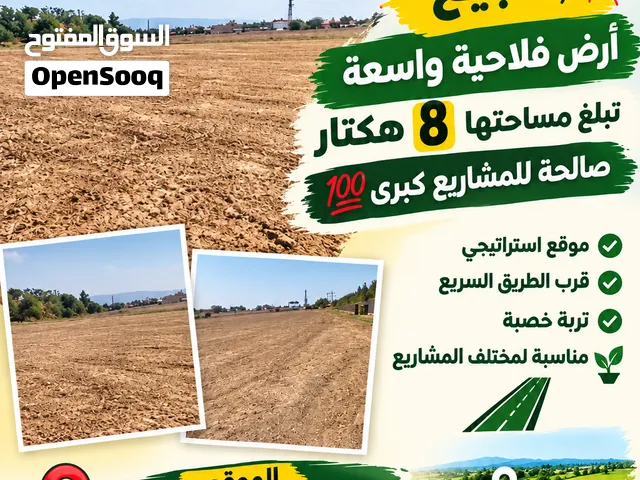 ارض فلاحية واسعة 8 هكتار صالحة للمشاريع الكبرى وشراكة موقع بين بومرداس ورويبة