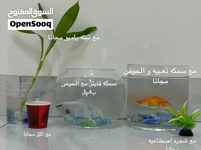 اسماك مع ملحقات مجانيه