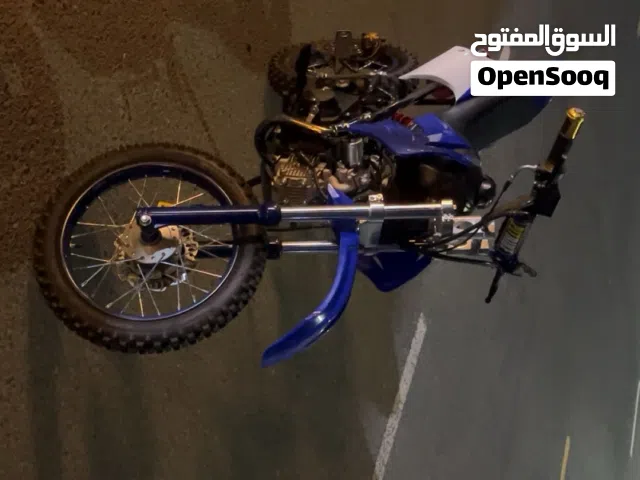 2025 اخرى اخرى